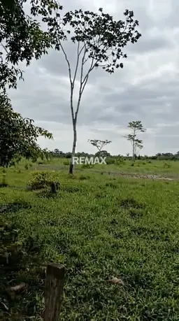 Vista 7