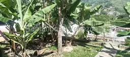 View 24