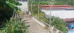View 30