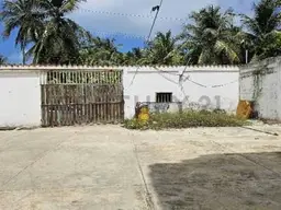 Vista 6