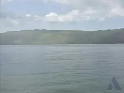 Vista 14