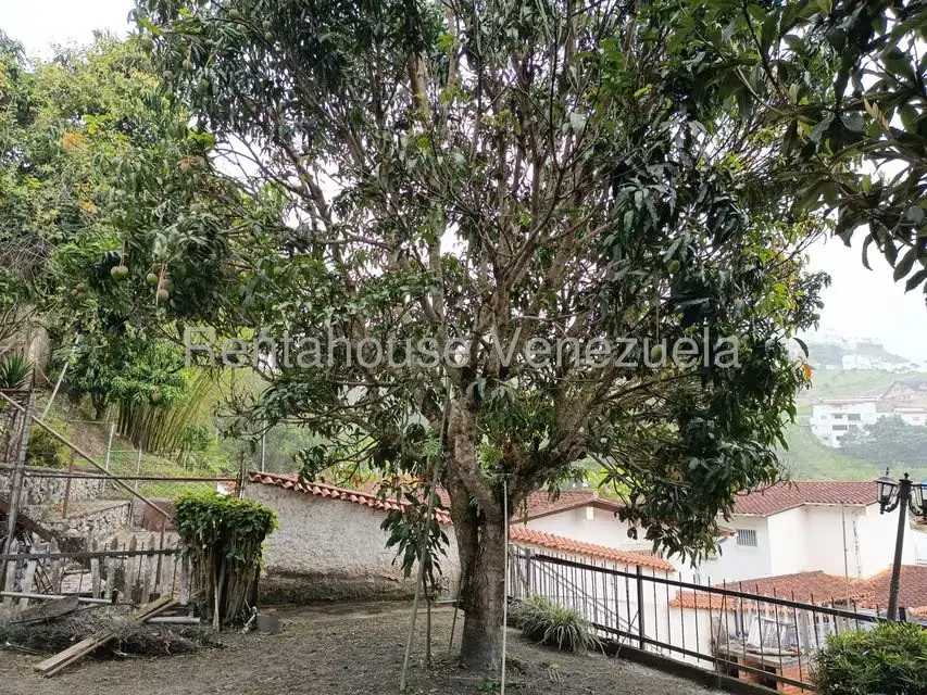 Casa (Duplex) en Venta en Pan de Azucar, Miranda - 59