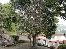 View 59