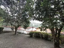 View 60