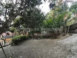 View 61