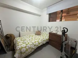Vista 19