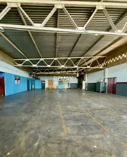 Vista 5