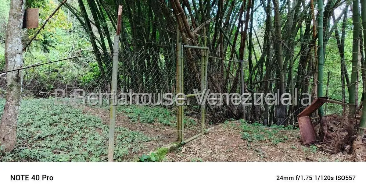 Terreno (Comercial) en Venta en Gavilan, Distrito Metropolitano - 11