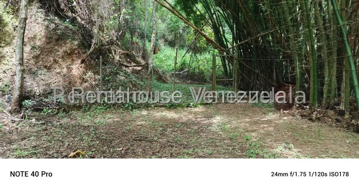 Terreno (Comercial) en Venta en Gavilan, Distrito Metropolitano - 22