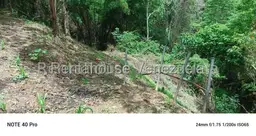 Vista 23