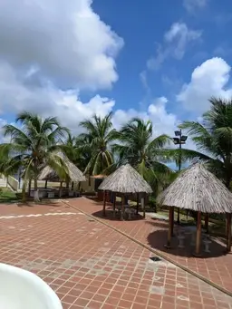 View 20
