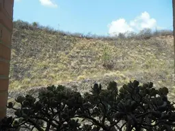 Vista 26