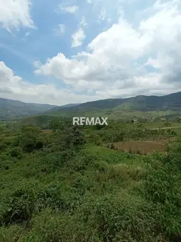 Vista 3