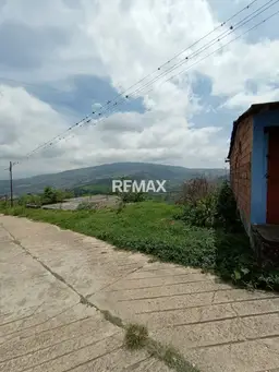 Vista 4