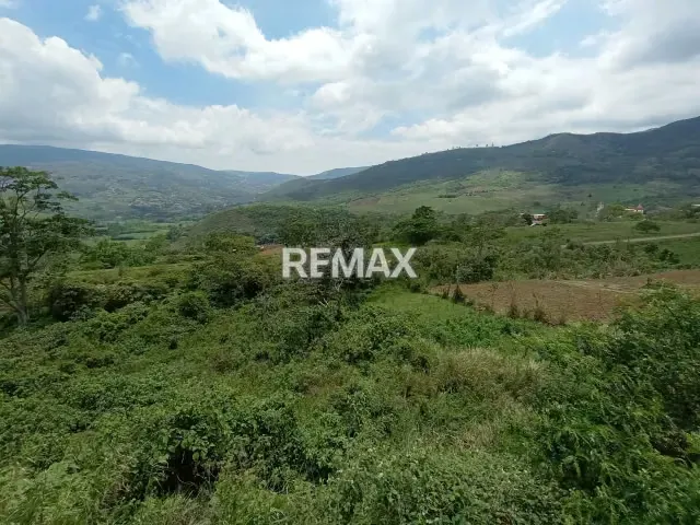 PARCELA EN VENTA, TOITUNA - 5