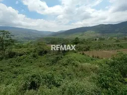 Vista 5