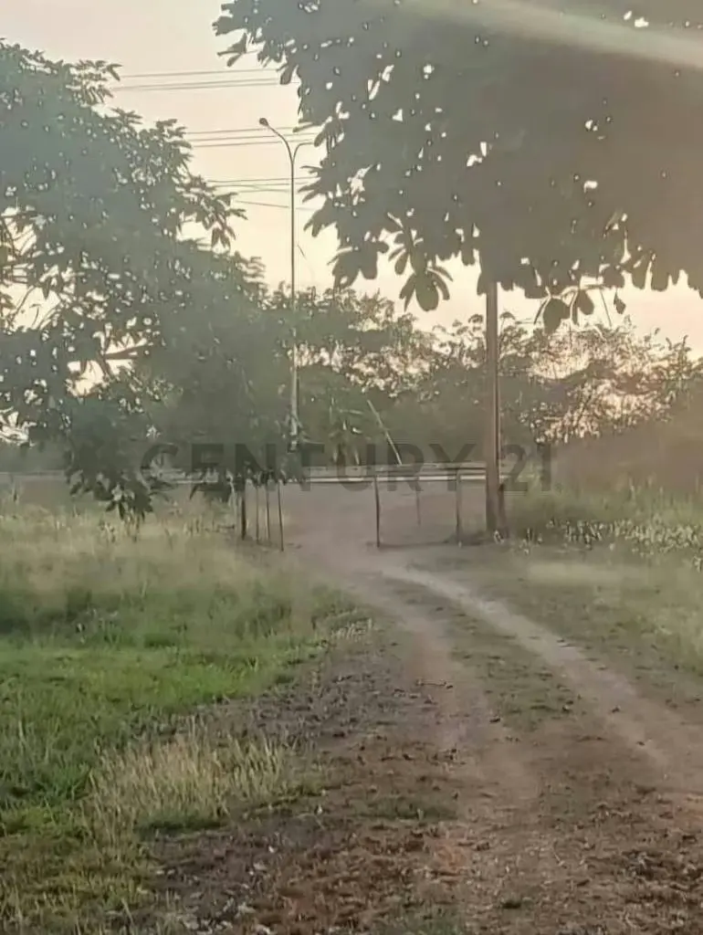 Venta de Finca