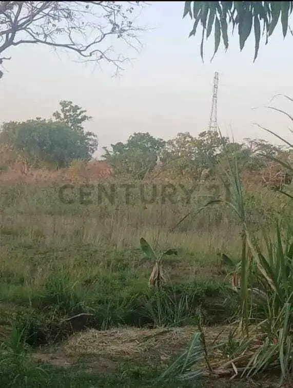 Venta de Finca - 3