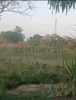 View 3