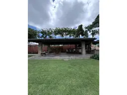 Vista 19
