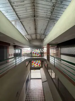 Vista 14