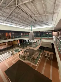 Vista 19