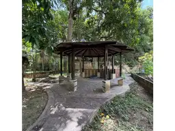 Vista 5