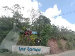 Vista 1
