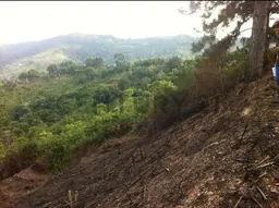Vista 4