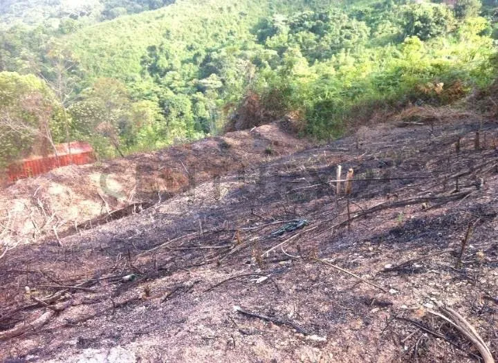 Oportunidad Venta de Terreno en Las Lomas de Sabaneta El Hatillo - 5