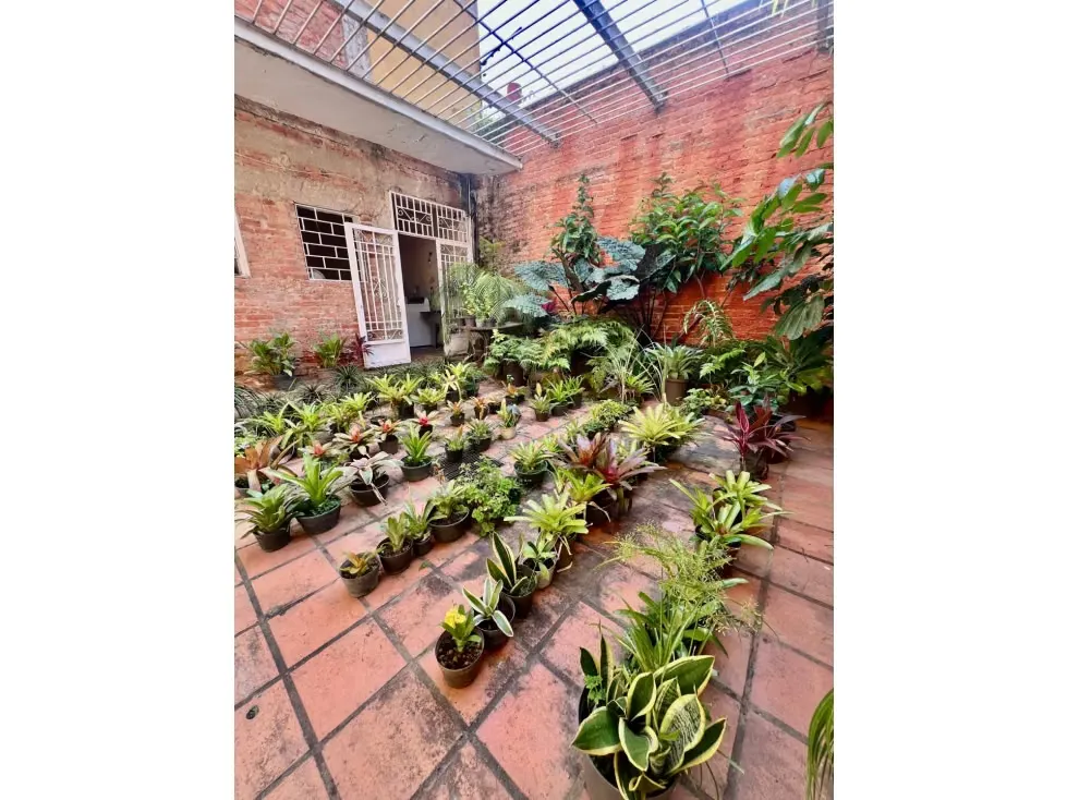 Vendo quinta 400m2 Alta Florida 1969 - 14