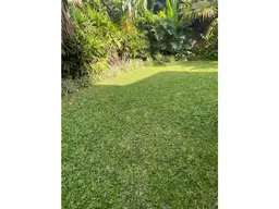 Vista 21