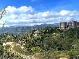 Vista 1