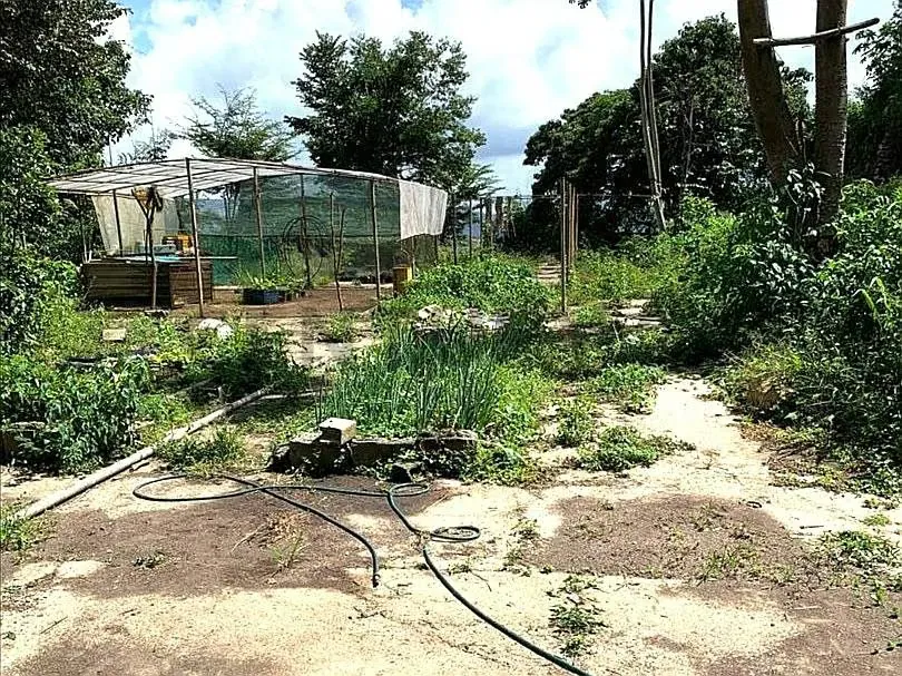EN VENTA. Grandioso Terreno con Proyecto Multifamiliar Aprobado - 4