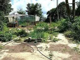 Vista 4