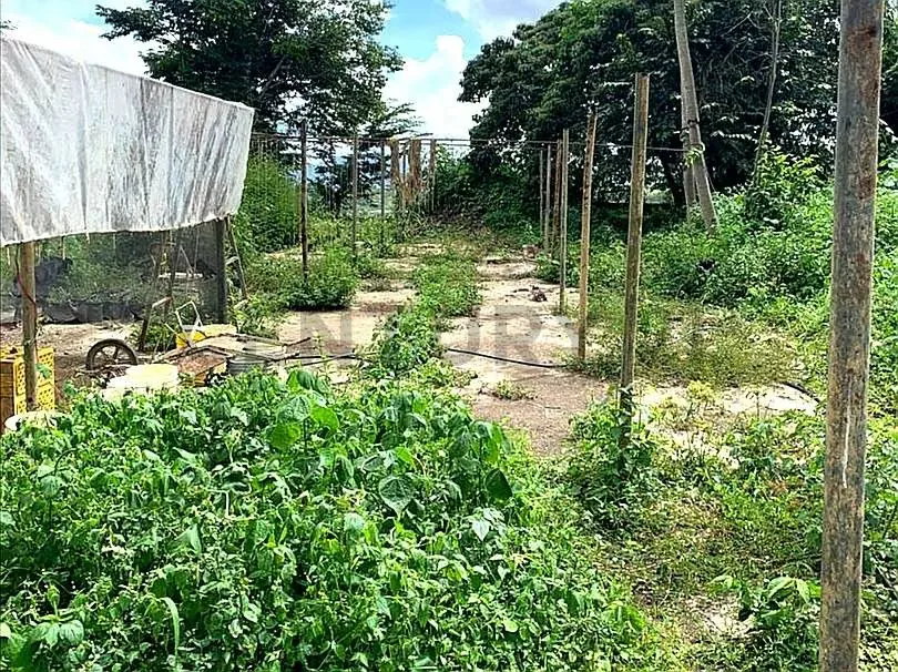 EN VENTA. Grandioso Terreno con Proyecto Multifamiliar Aprobado - 6