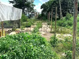 Vista 6