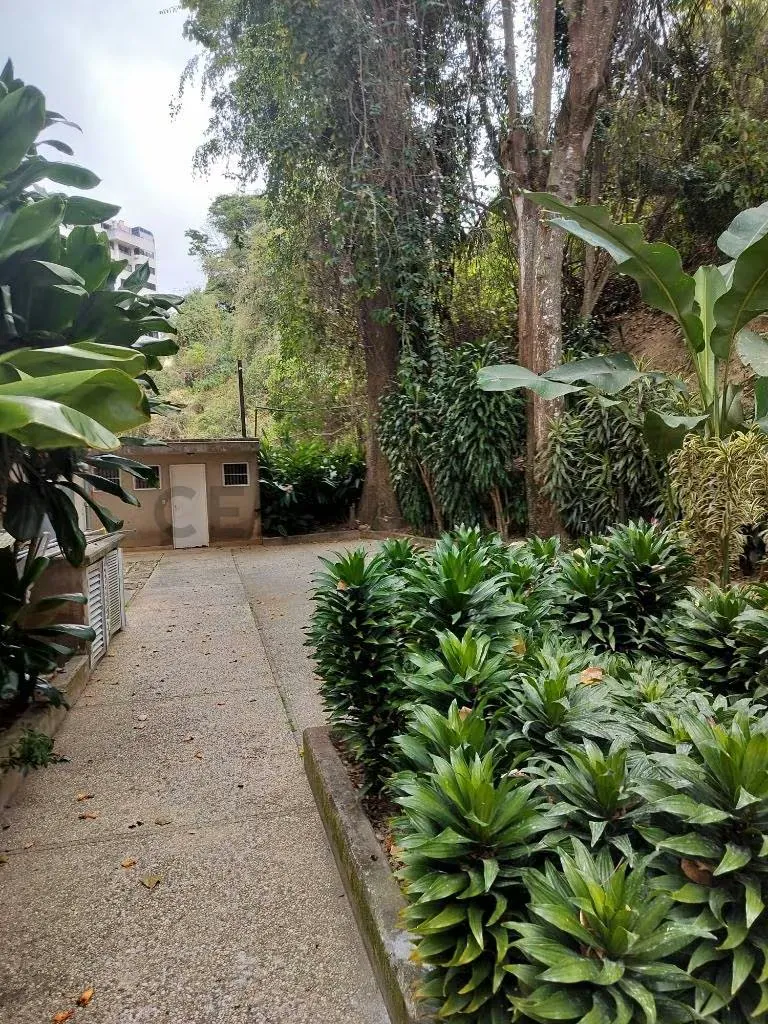 Amplio apartamento ubicado en PB en Los Naranjos del Cafetal - 25