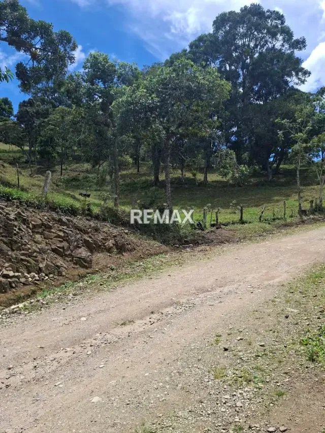 se vende terreno en tamuco cordero