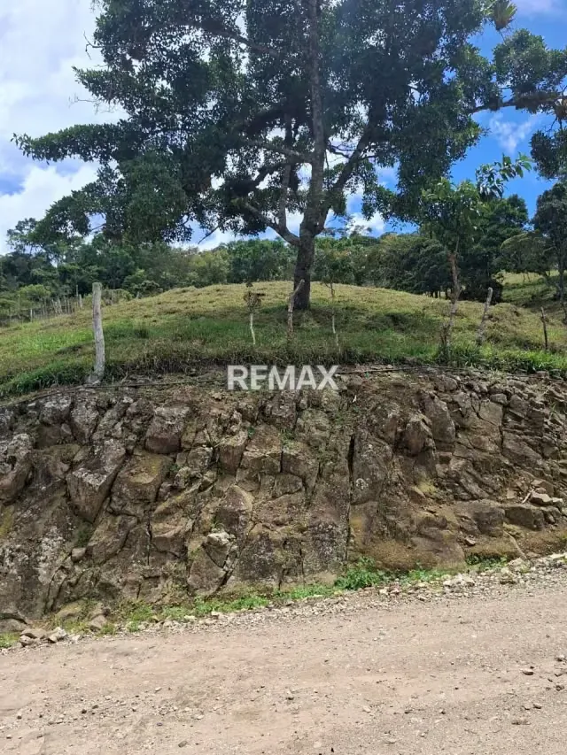 se vende terreno en tamuco cordero - 2