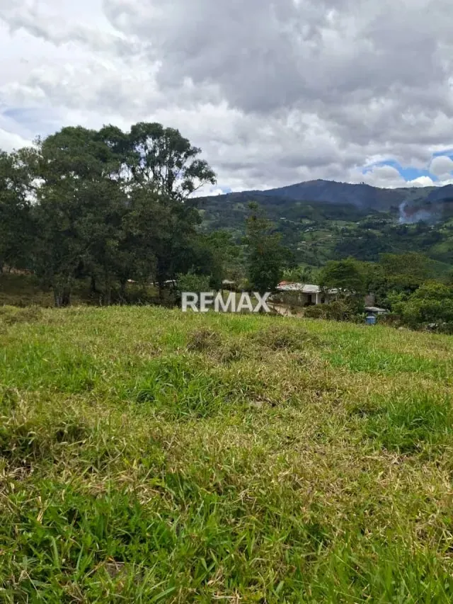 se vende terreno en tamuco cordero - 3