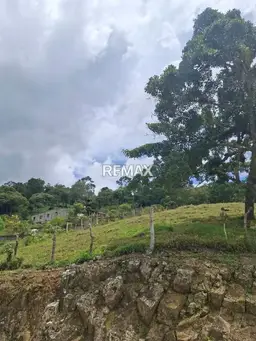 View 4