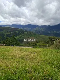 View 6