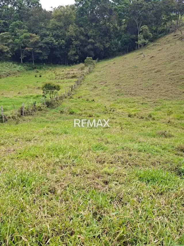 se vende terreno en tamuco cordero - 7