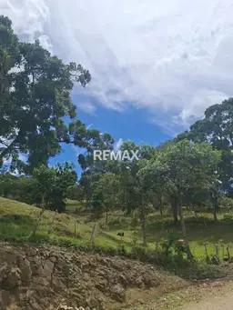 View 8