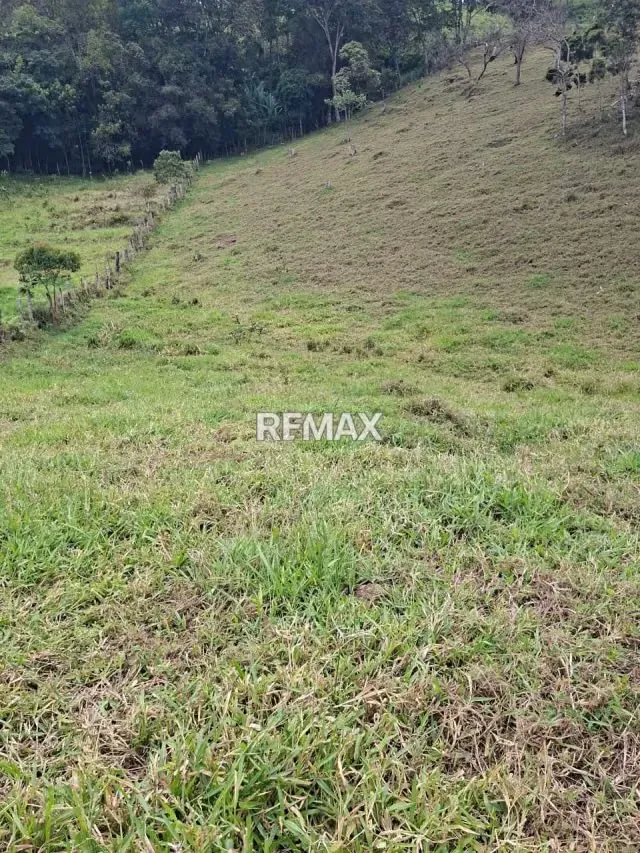 se vende terreno en tamuco cordero - 9