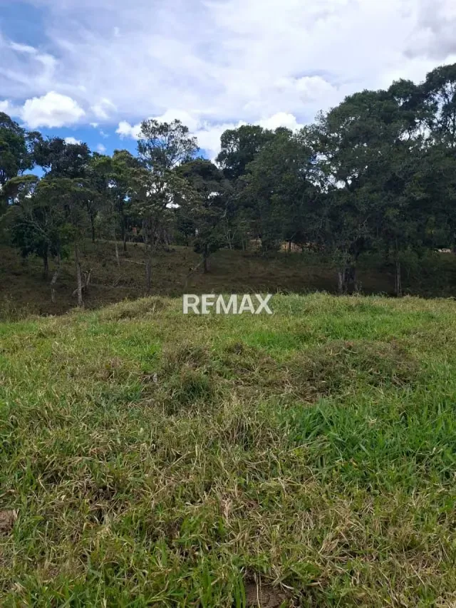 se vende terreno en tamuco cordero - 10