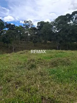 View 10