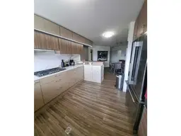 Vista 19