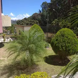 Vista 2